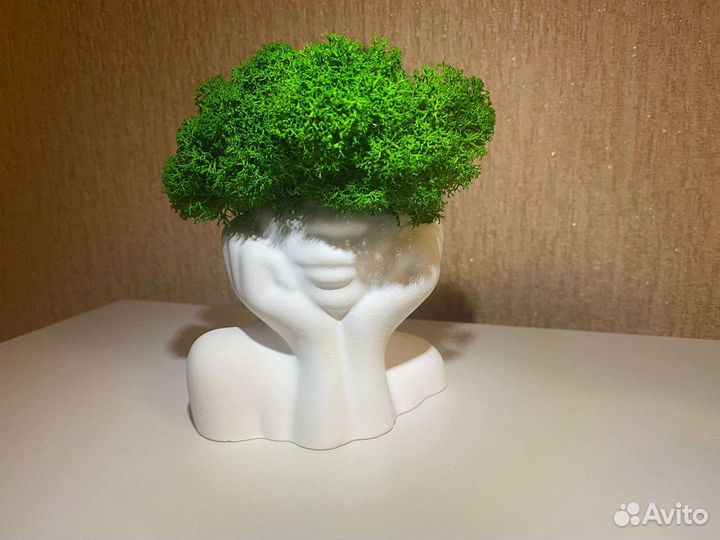 Кашпо со стабилизированным мхом