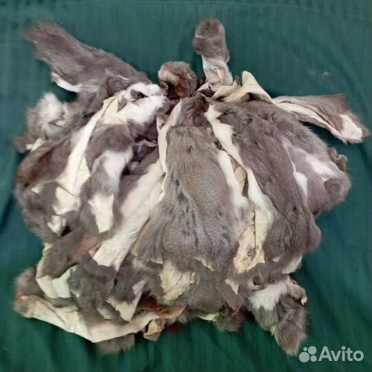 Шкурки белки пакетом