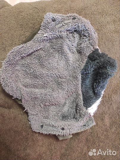 Одежда для маленьких собак