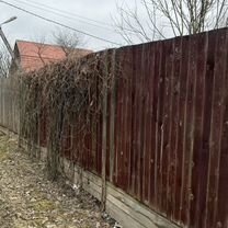 Участок 10 сот. (СНТ, ДНП), Вербилки