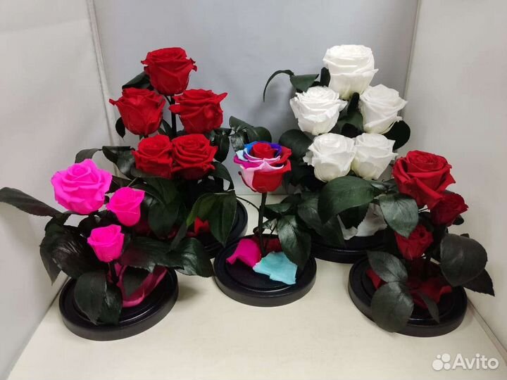 Цветы оптом / Роза в колбе