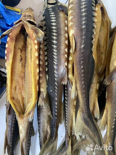 Астраханская рыба деликатес