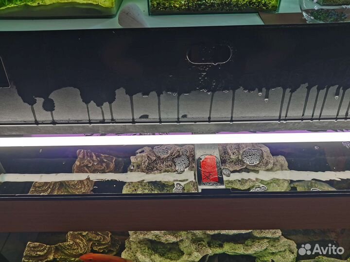 Аквариумный комплект Juwel 180л