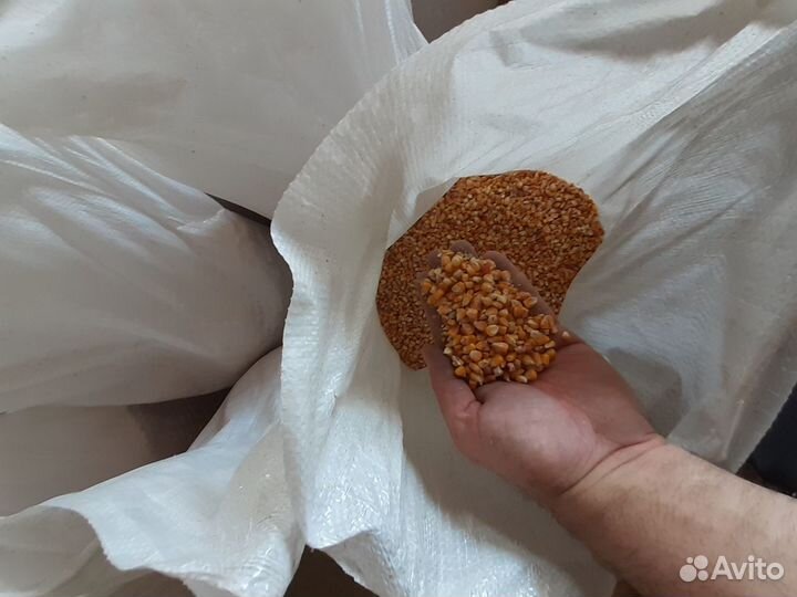 Зерно отруби комбикорм