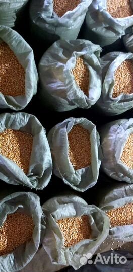 Кукуруза, ячмень, комбикорм в гранулах