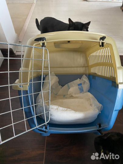 Переноска для кошек