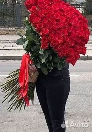Высокие розы Гигантские Розы 150 160 170 180 190см