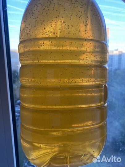 Мед донниковый 2024