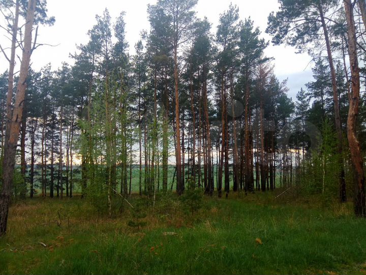 Участок 25 сот. (ИЖС)