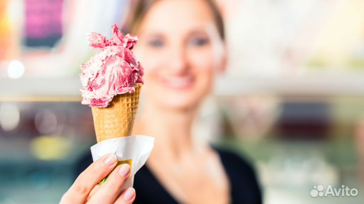Продавец мороженого (ежедневные выплаты)