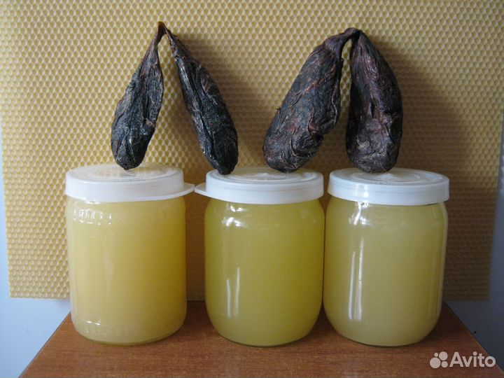 Барсучий жир