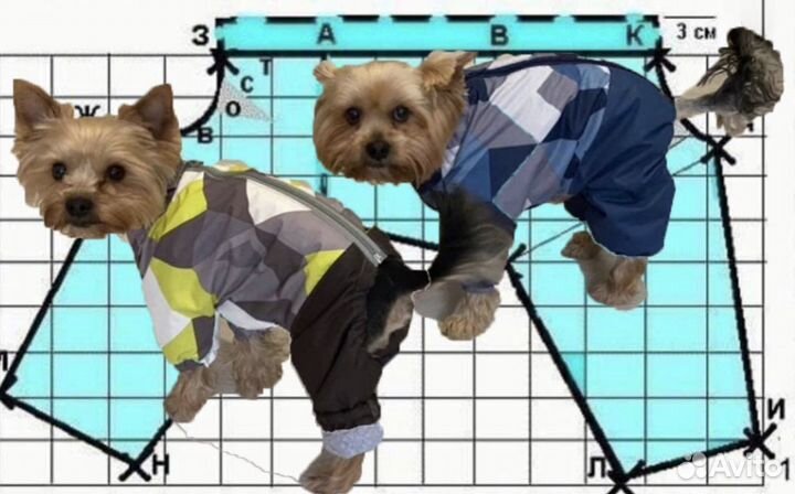 Выкройки одежды для собак