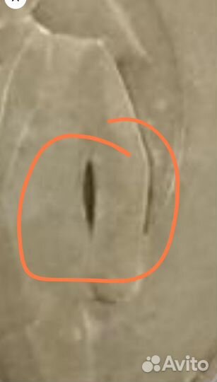 Монета 1 рубль СССР