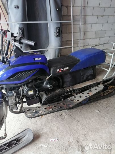 Irbis (dingo - T150)