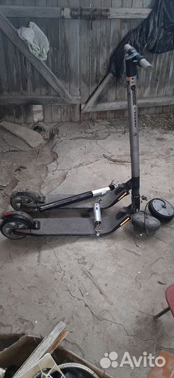 Самокат взрослый до 120 кг