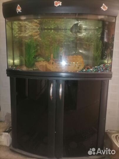 Аквариум панорамный с тумбой