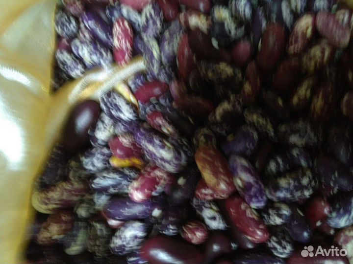 Бобы. фасоль