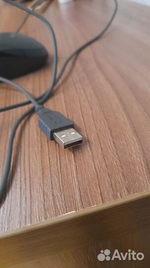 Мышь компьютерная