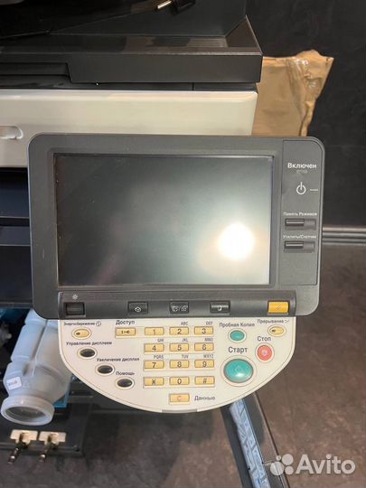 Мфу konica minolta bizhub 501