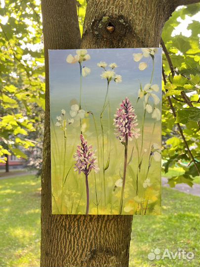 Картина маслом Полевые цветы 30х20, холст