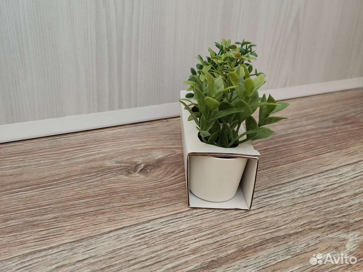 Суккулент искусственный фейка, 5 см, набор из 3 шт