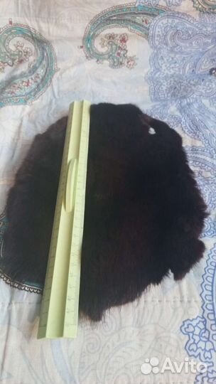 Шкурка животного ондатра