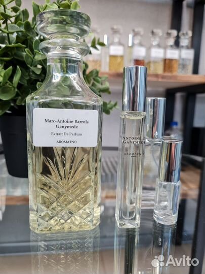 Marc-Antoine Barrois 