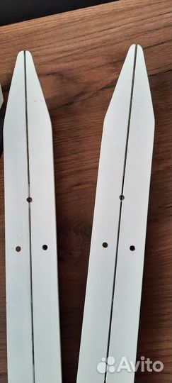 Озерные коньки байсы