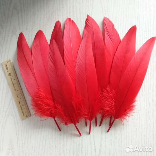Красивые перья для творчества и рукоделия