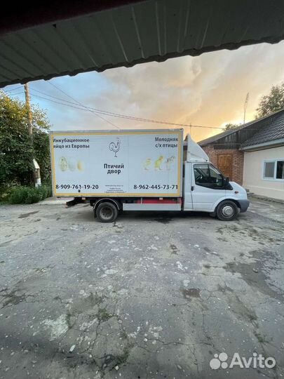 Ford Transit рефрижератор, 2012