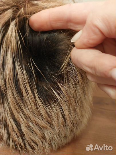 Женская шапка из вязаного енота