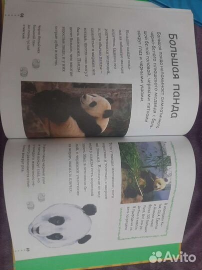 Книги о животных зоопарк