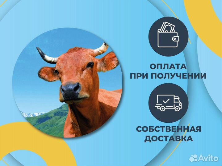 Корм для собак 35 мяса