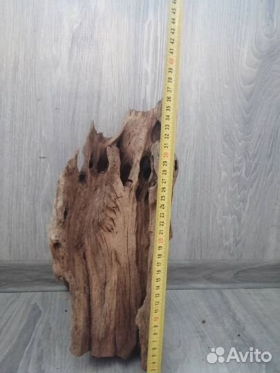 Коряги мангровые большие