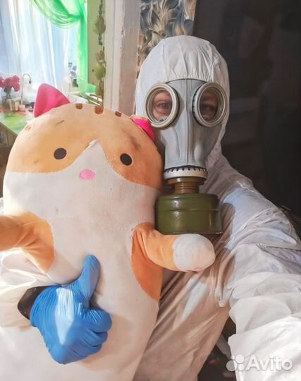 Уничтожение Клопов Тараканов Блох Клещей Ос