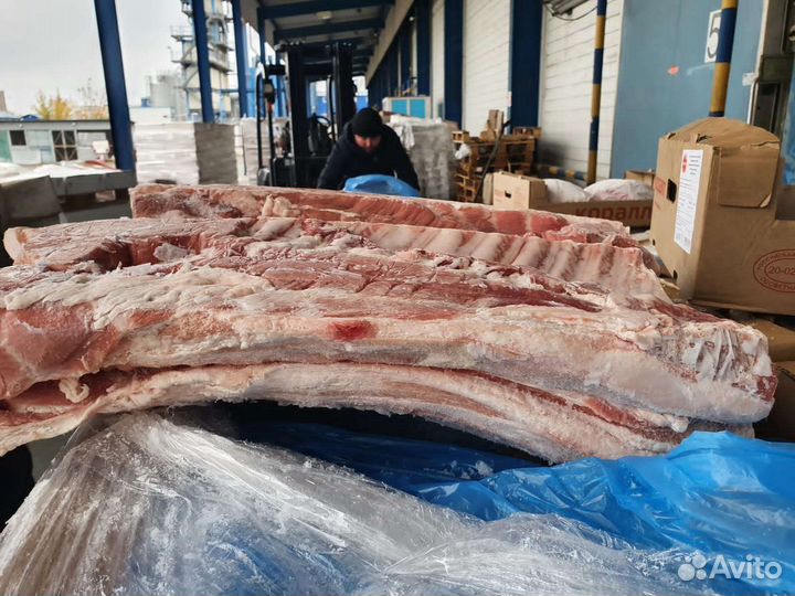 Мясо свинина, блочная свинина, окорок, грудинка