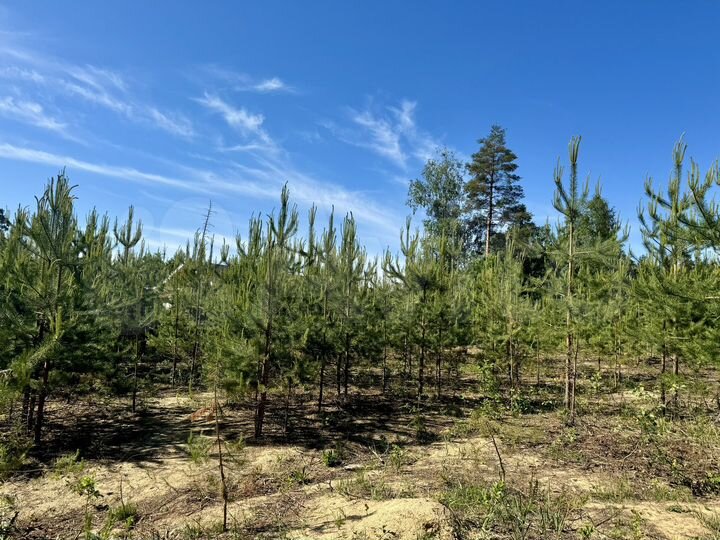 Участок 14 сот. (СНТ, ДНП)