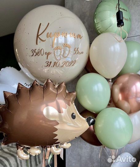 Воздушные Шары на выписку