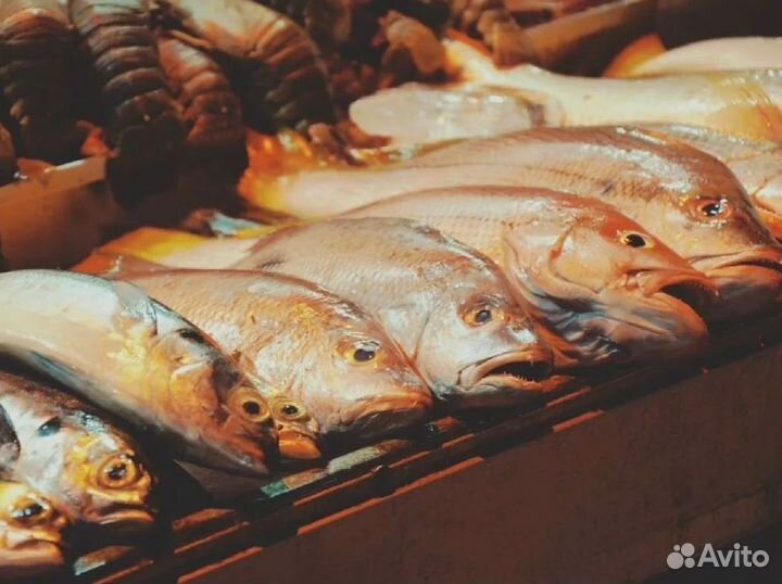 Готовый рыбный бизнес для вас