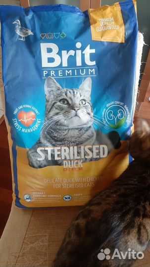 Сухой корм для стерилизованных кошек