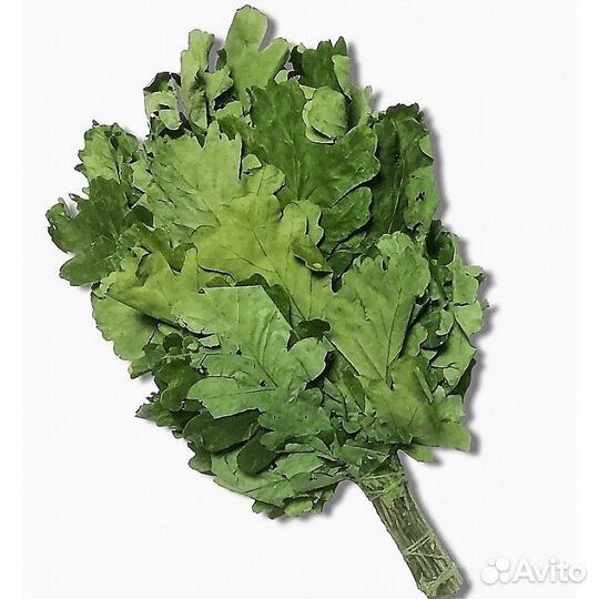 Веники для бани