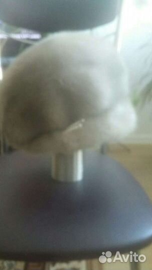 Шапка норковая