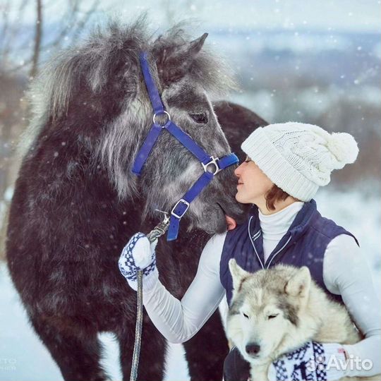 Фотосессии с лошадьми