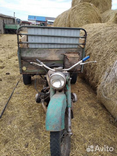 Венгерская мангалица