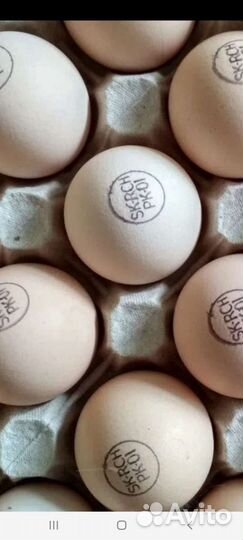 Инкуб яйцо Кобб Росс