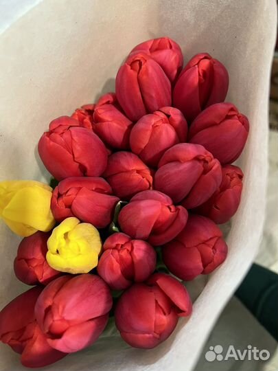 Тюльпаны в наличии