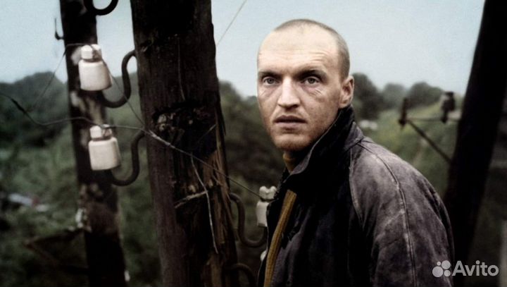 Билеты в кинотеатры Москвы за 1/2