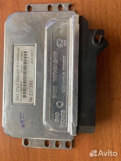 Мозги эбу на газель