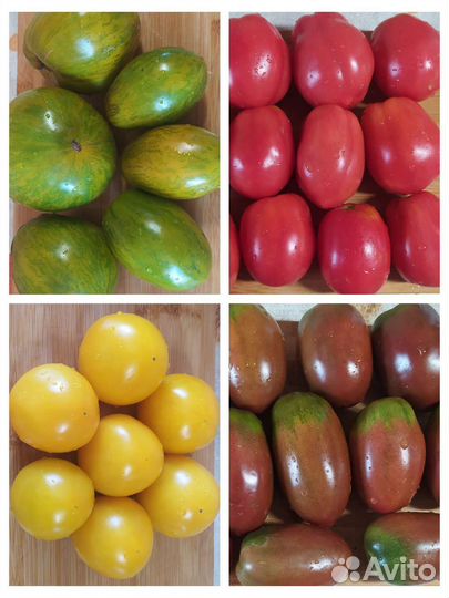 Семена помидор