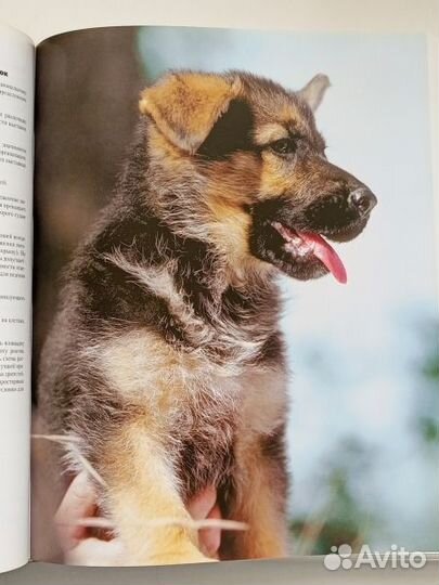 Немецкая овчарка. Энциклопедия Royal Canin